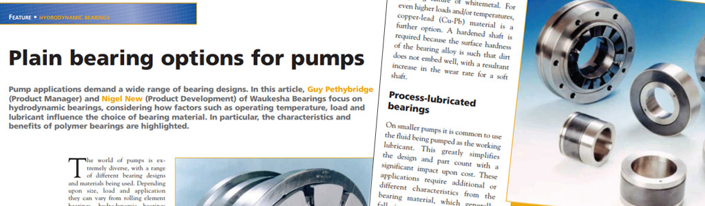Plain bearing options for pumps